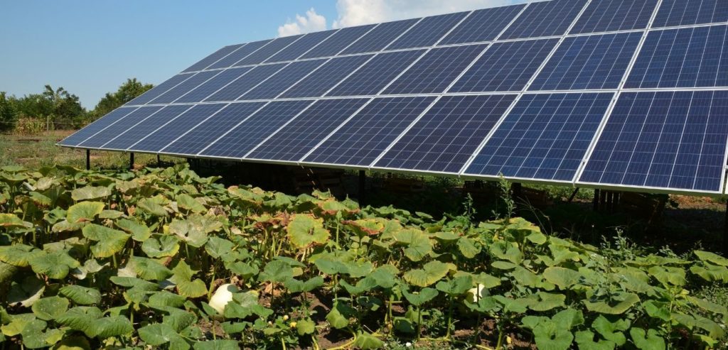 Large ground-mounted residential solar panel system for efficient off-grid solar power installed in the home kitchen garden to produce renewable energy