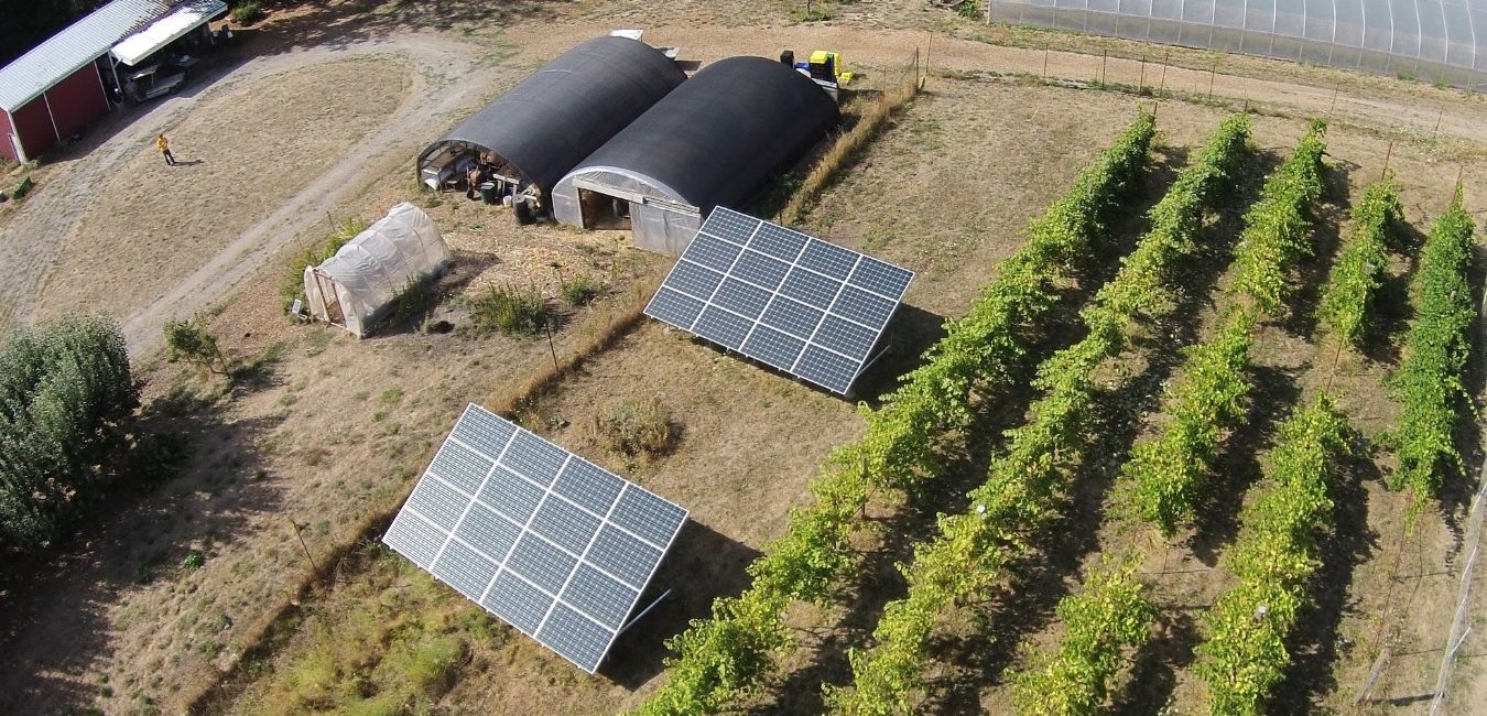 lewis county washington solar panel farm