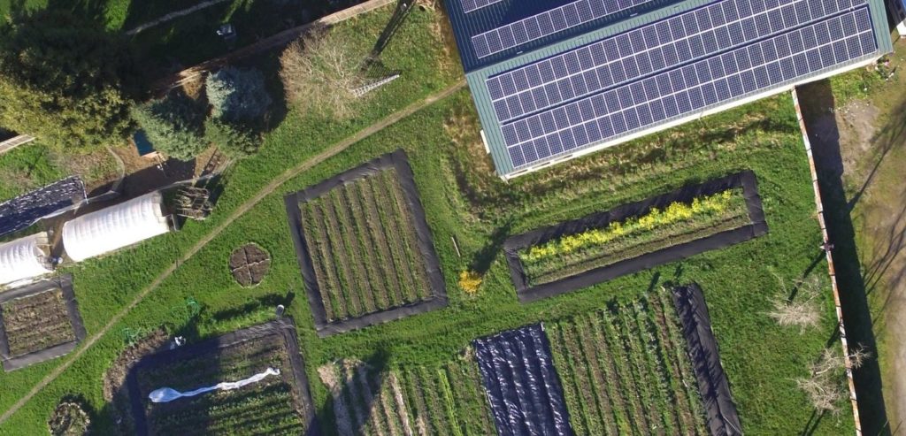 washington state solar powered farm