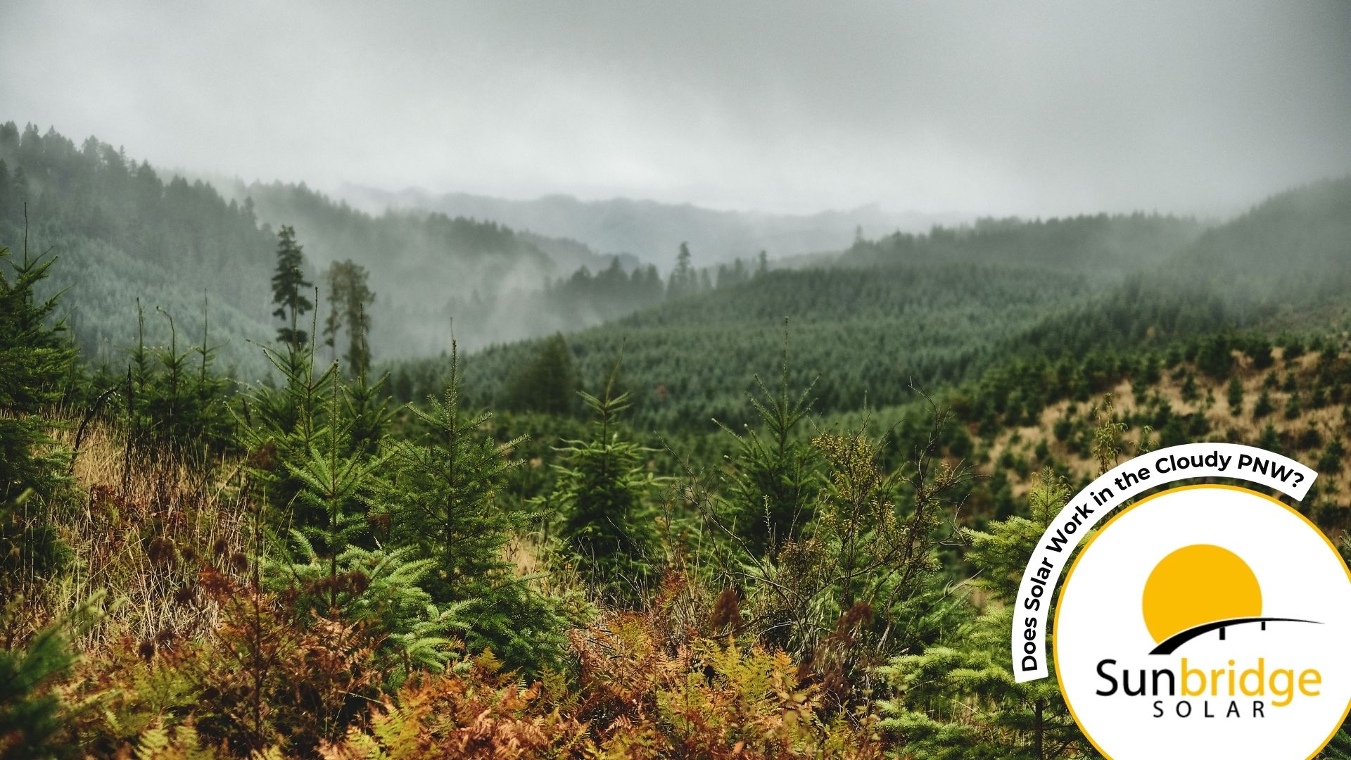 cloudy Pacific Northwest Hills