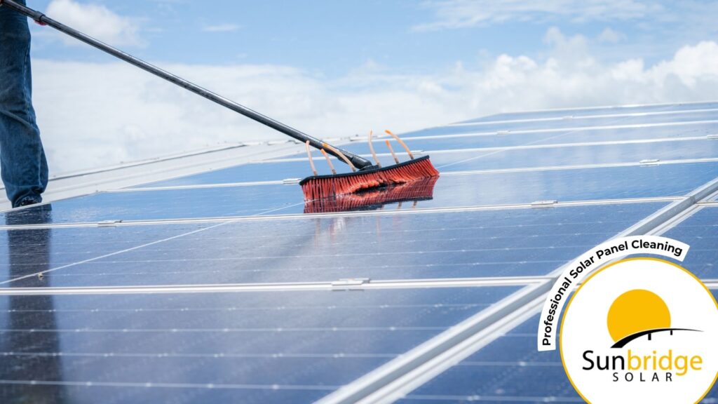 person professional cleaning solar panels